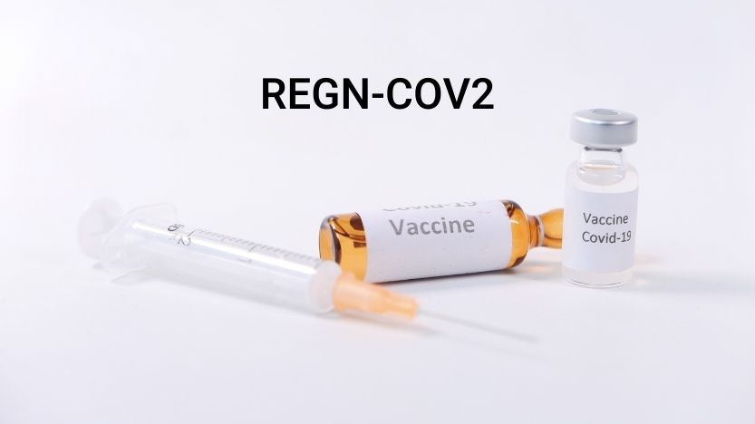 אלעד לאור - תרופת הקורונה REGN-COV2