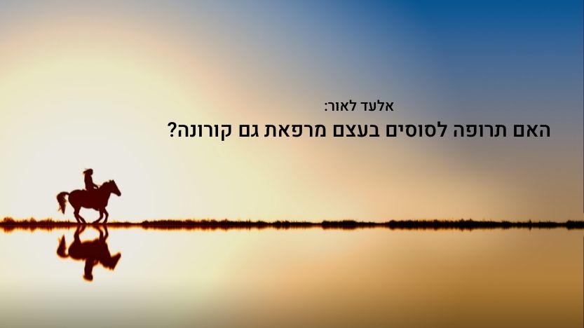 Read more about the article אלעד לאור: האם תרופה לסוסים בעצם מרפאת גם קורונה?